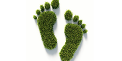 Der Weg zum ökologischen Fußabdruck besteht aus vielen Teiletappen – bei Folien, Dichtungen und Formteilen sind das u.a. Entwicklung und Fertigung (Bild: istock_MicroStockHub) 