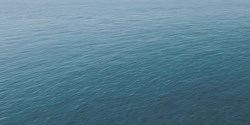 Total Cost of Ownership: Ein weites Meer an Entscheidungen
