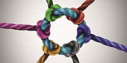 Information und Integration