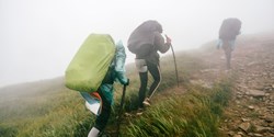Die Gummiproduktion trägt einen schweren „CO2-Rucksack“
