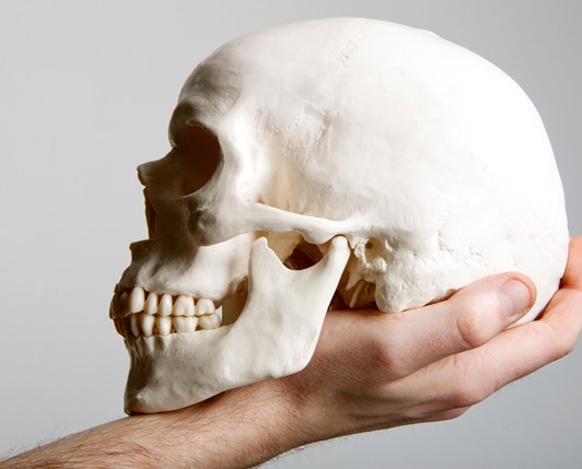 Advanced Materials: „To be or not to be, that is the question.“