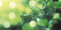 „Grüne Chemie“