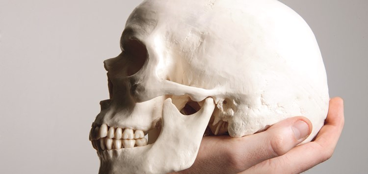 Advanced Materials: „To be or not to be, that is the question.“