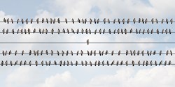 Mehr und individualisierte Klebstoffe sind der Trend